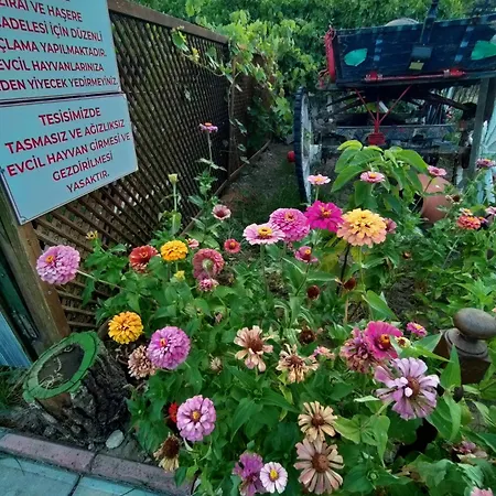 Ida Tahtalikoey * Edremit (Balikesir)