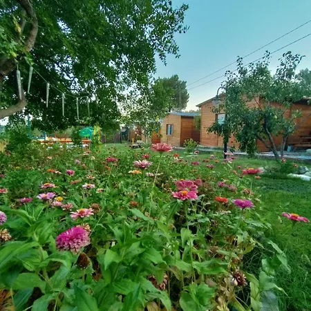 Ida Tahtalikoey Edremit (Balikesir)