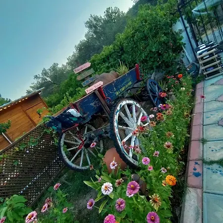 Bed & Breakfast Ida Tahtalikoey